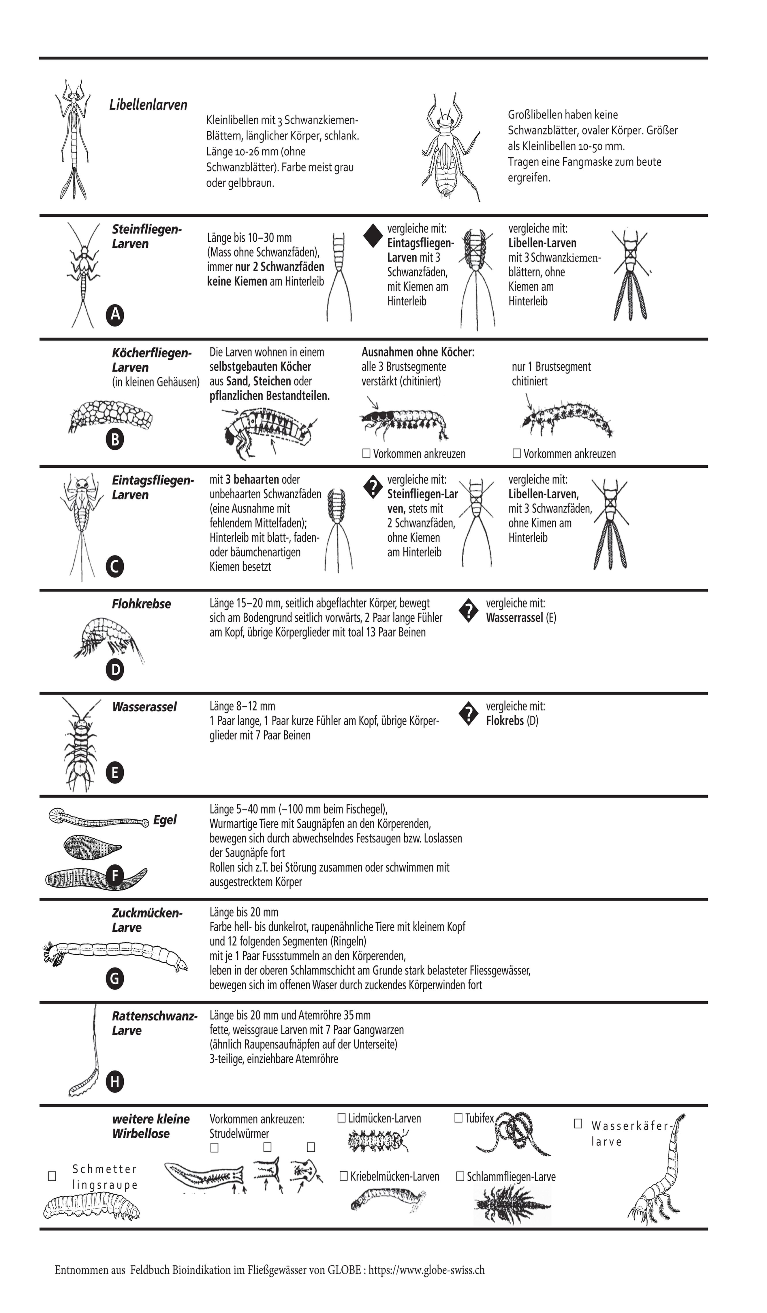 Bestimmungshilfe von Globe Makroinvertebraten kleiner