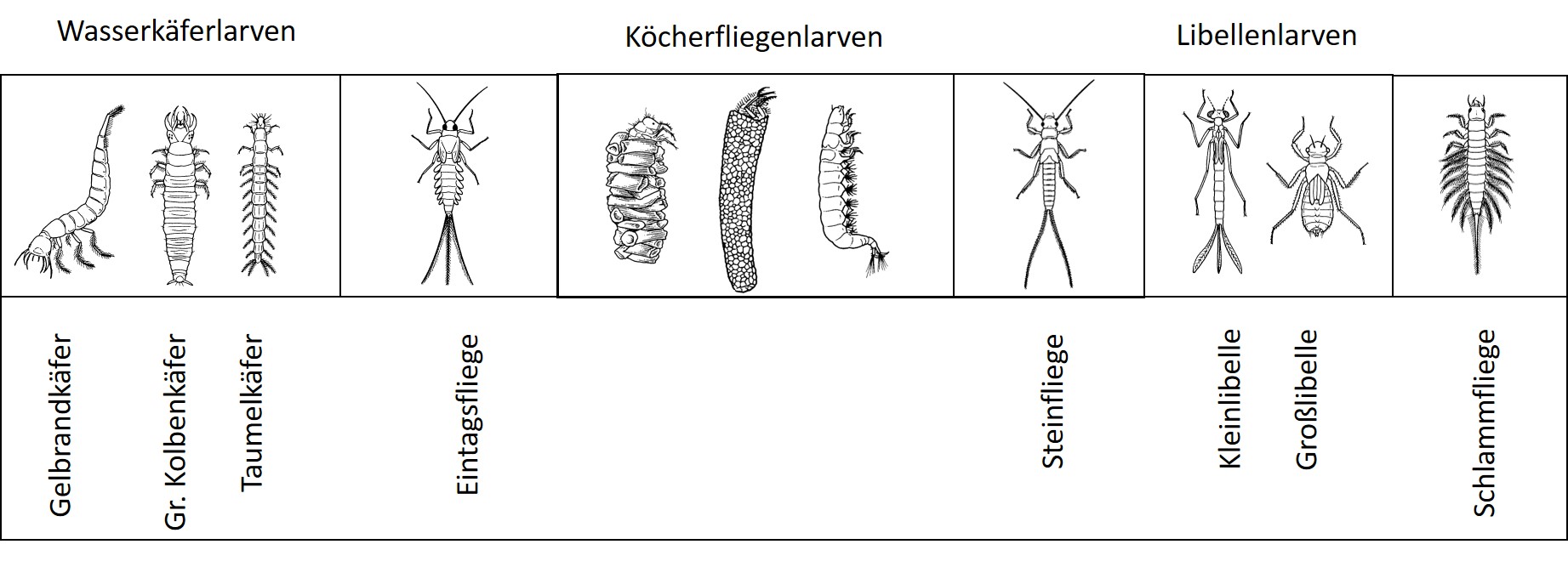 Übersichtstafel1